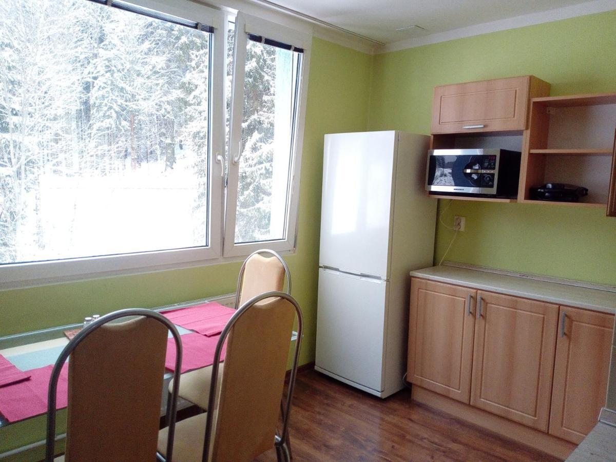 Apartman Spicak Jiretin pod Bukovou エクステリア 写真