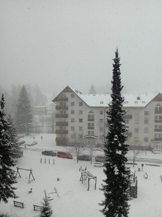Apartman Spicak Jiretin pod Bukovou エクステリア 写真